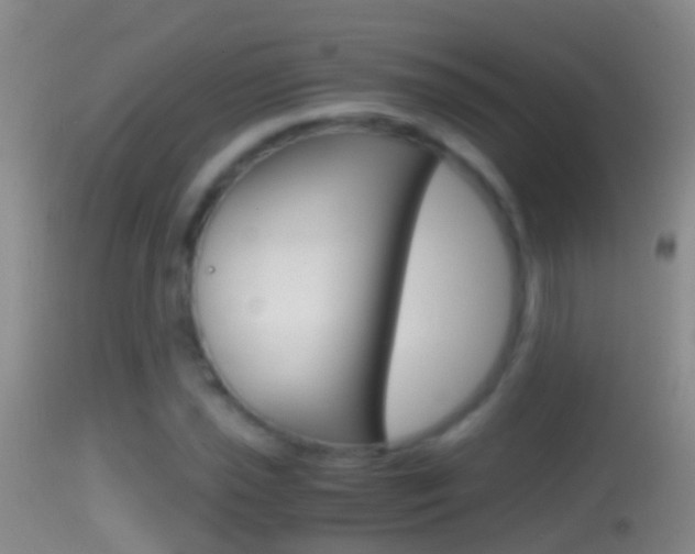 X0000114391021200910161027