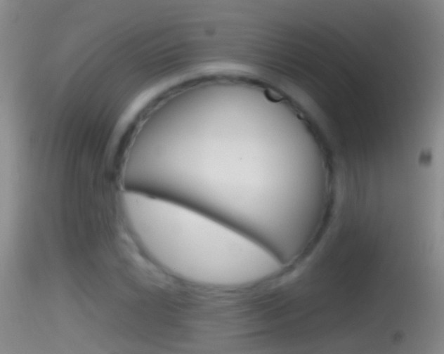 X0000114391022200910161027
