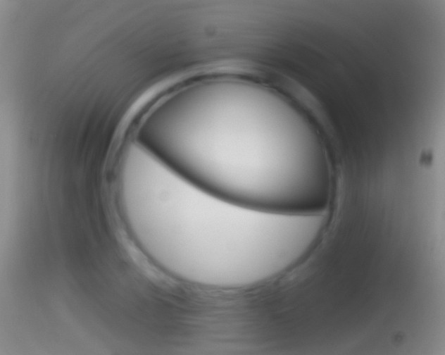 X0000114391024200910161027