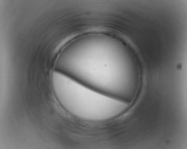 X0000114391025200910161027