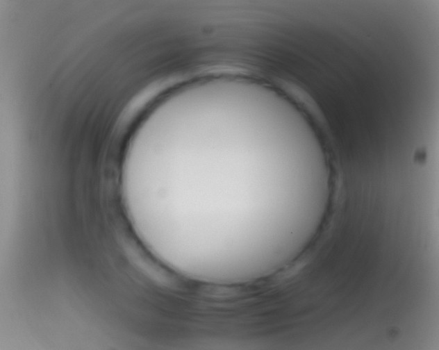 X0000114391027200910161027