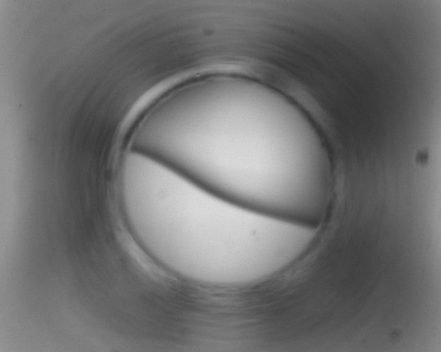 X0000114391028200910161027
