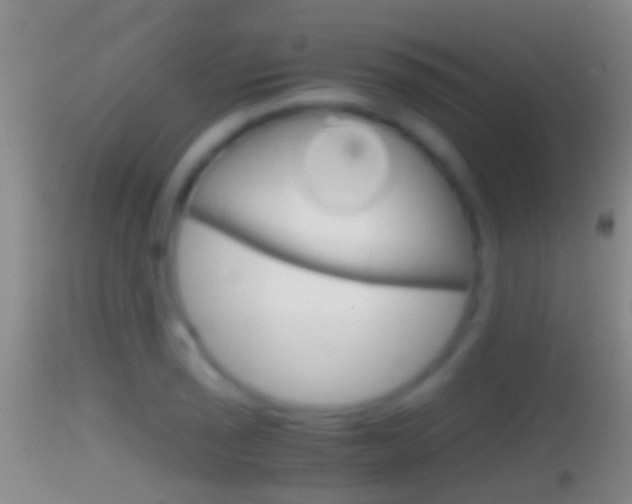 X0000114391029200910161027