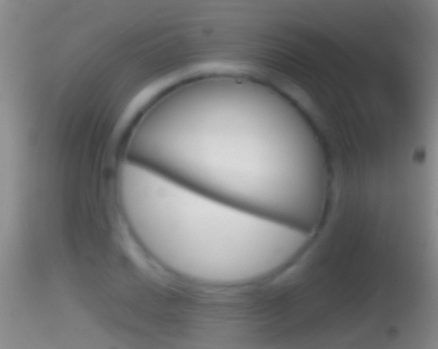 X0000114391030200910161027