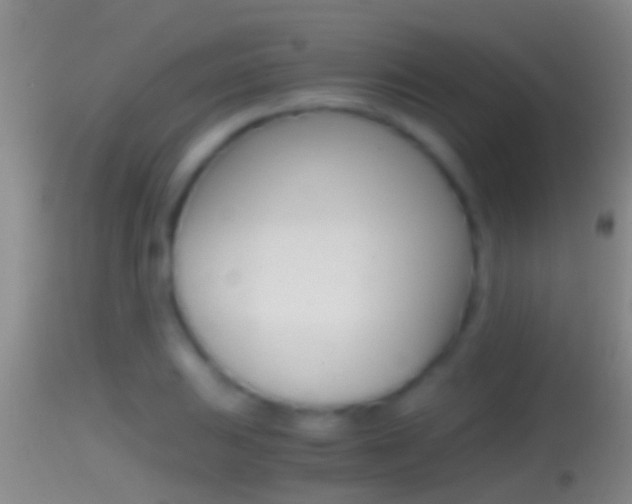 X0000114391031200910161027