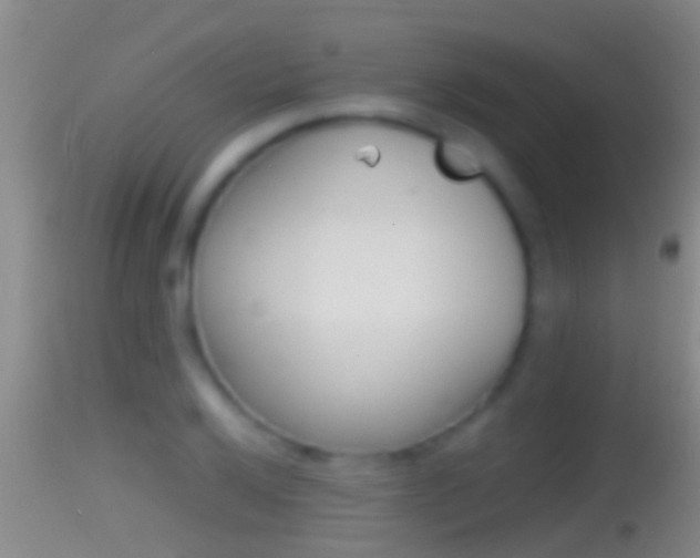 X0000114391032200910161027