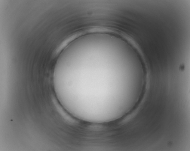 X0000114391033200910161027