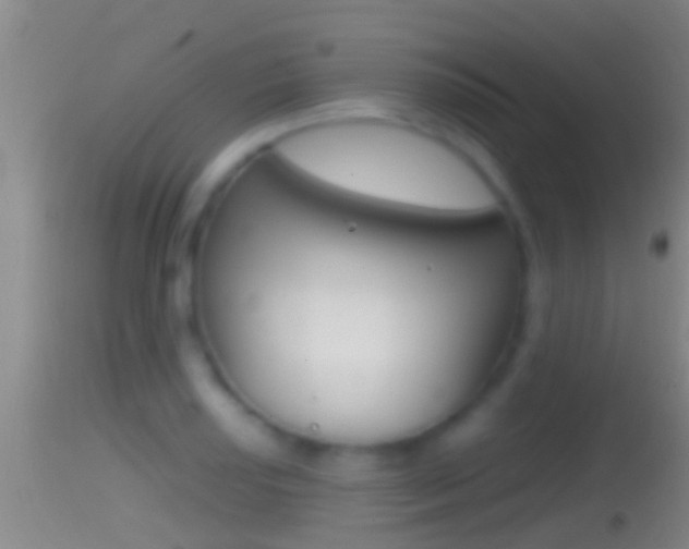 X0000114391034200910161027