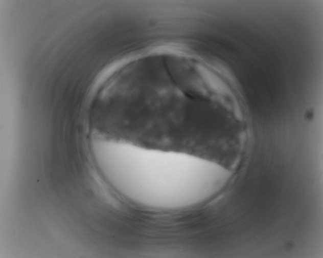 X0000114391035200910161027