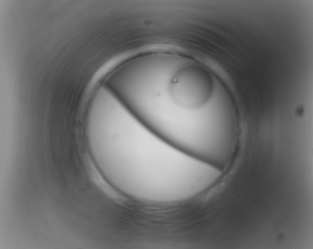 X0000114391037200910161027