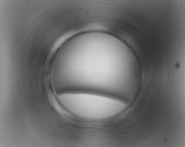 X0000114391038200910161028