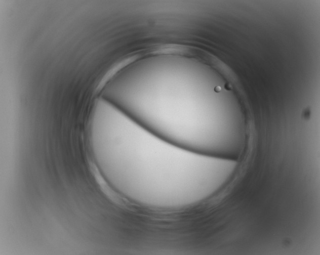 X0000114391041200910161028
