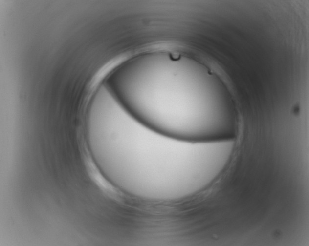 X0000114391042200910161028