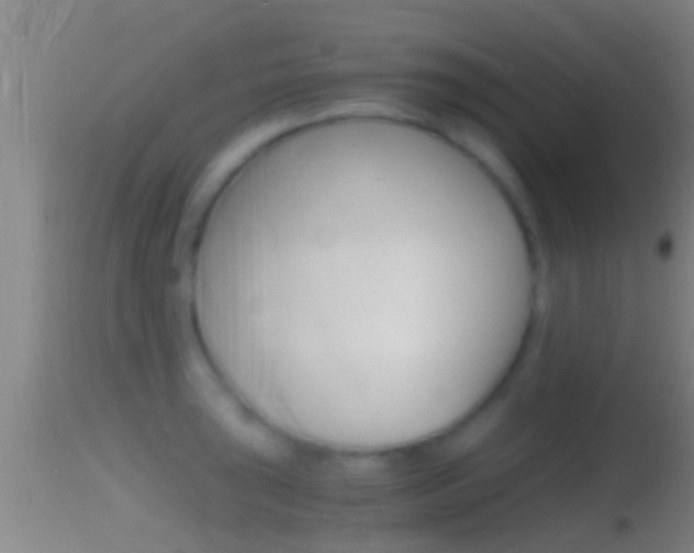 X0000114391043200910161028