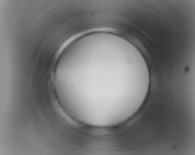 X0000114391044200910161028
