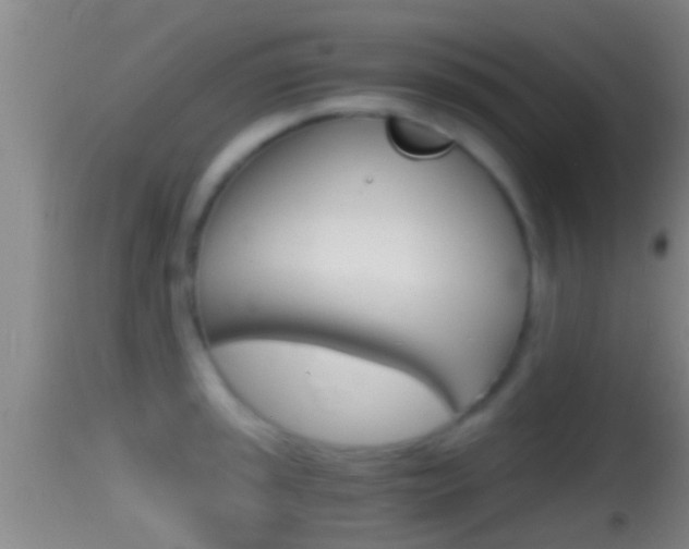 X0000114391045200910161028