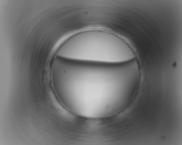 X0000114391046200910161028