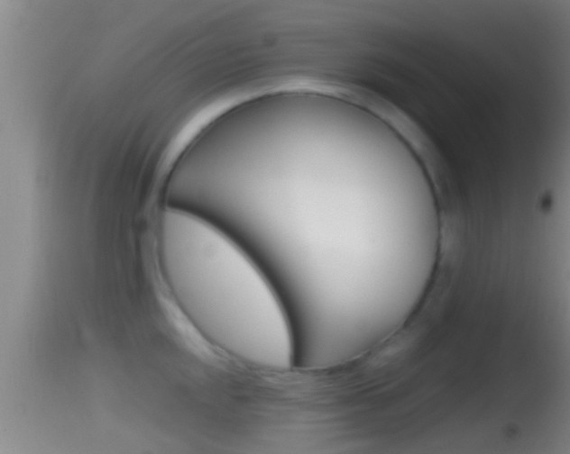 X0000114391048200910161028