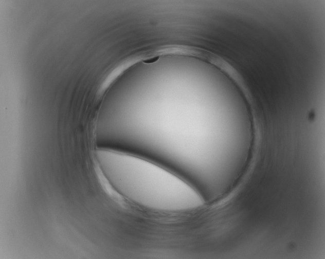 X0000114391049200910161028