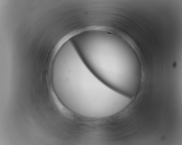 X0000114391050200910161028