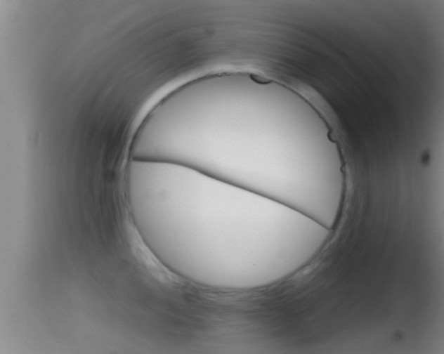 X0000114391052200910161028