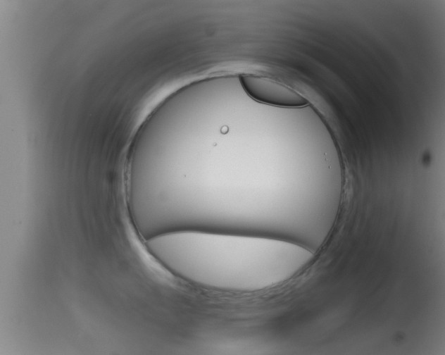 X0000114391055200910161028
