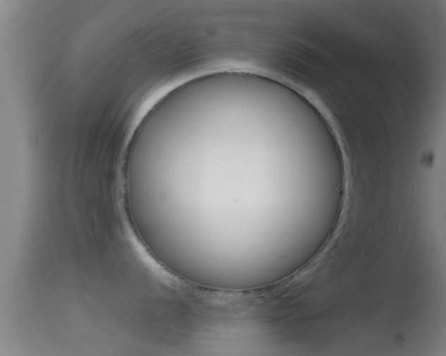 X0000114391056200910161028