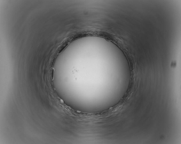 X0000114391057200910161027