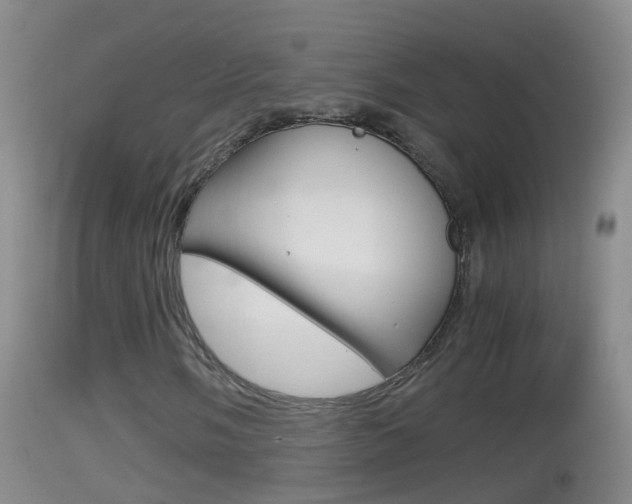 X0000114391058200910161027