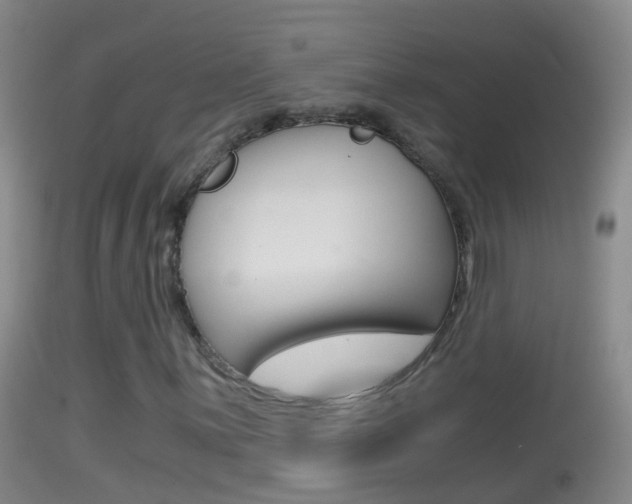 X0000114391059200910161027