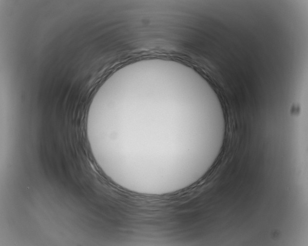 X0000114391060200910161027