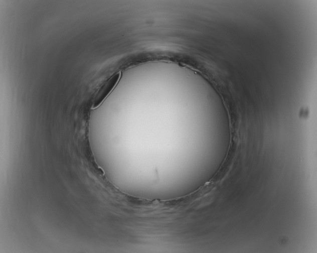 X0000114391061200910161027