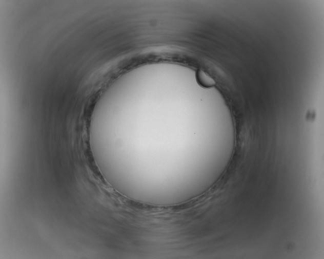 X0000114391062200910161027