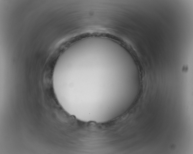 X0000114391063200910161027