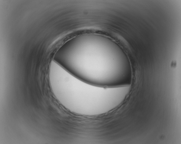 X0000114391064200910161027