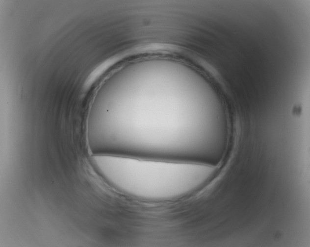 X0000114391066200910161027