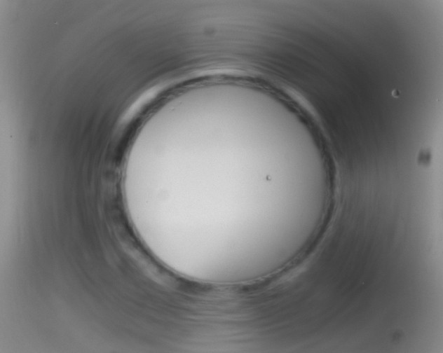 X0000114391067200910161027