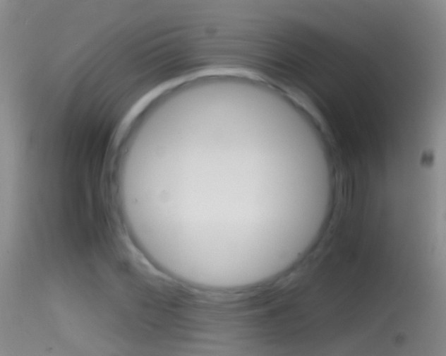 X0000114391068200910161027