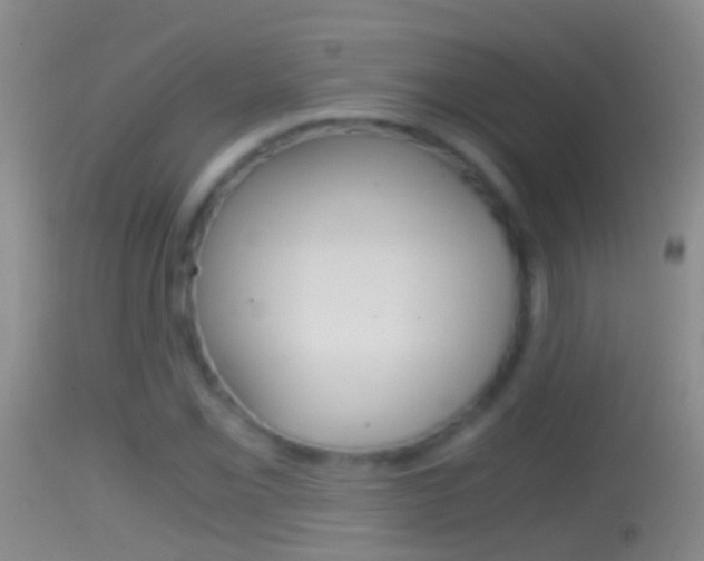 X0000114391069200910161027