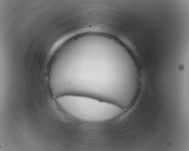 X0000114391070200910161027