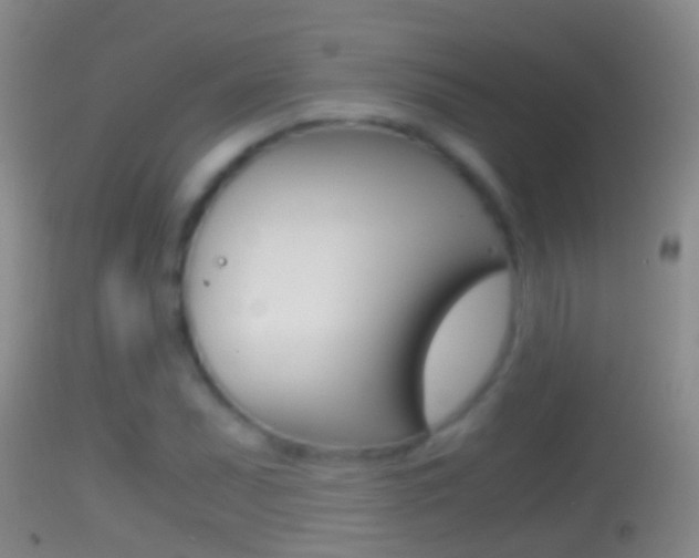 X0000114391071200910161027
