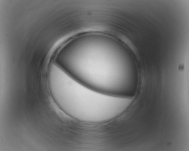 X0000114391072200910161027