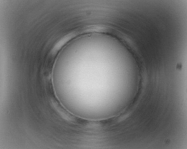 X0000114391073200910161027