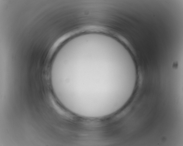 X0000114391074200910161027