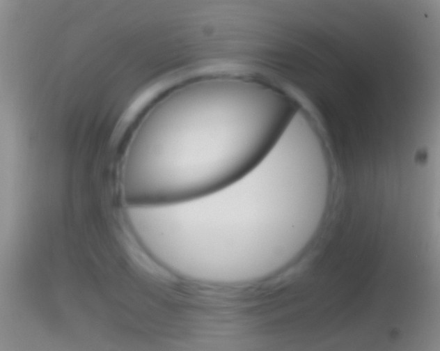 X0000114391075200910161027