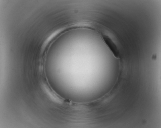 X0000114391076200910161027