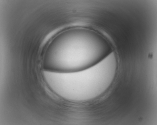 X0000114391077200910161027