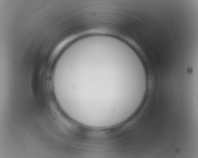X0000114391078200910161027