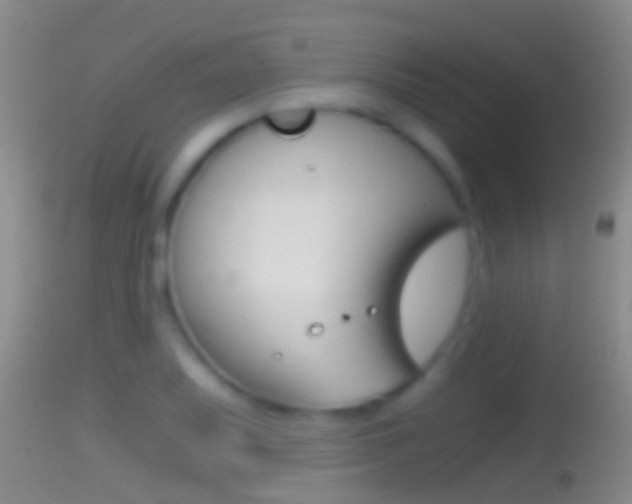 X0000114391079200910161027