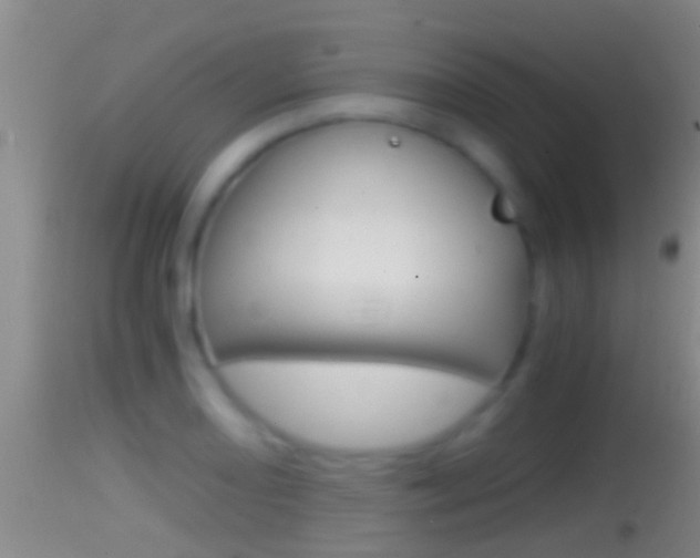 X0000114391082200910161027
